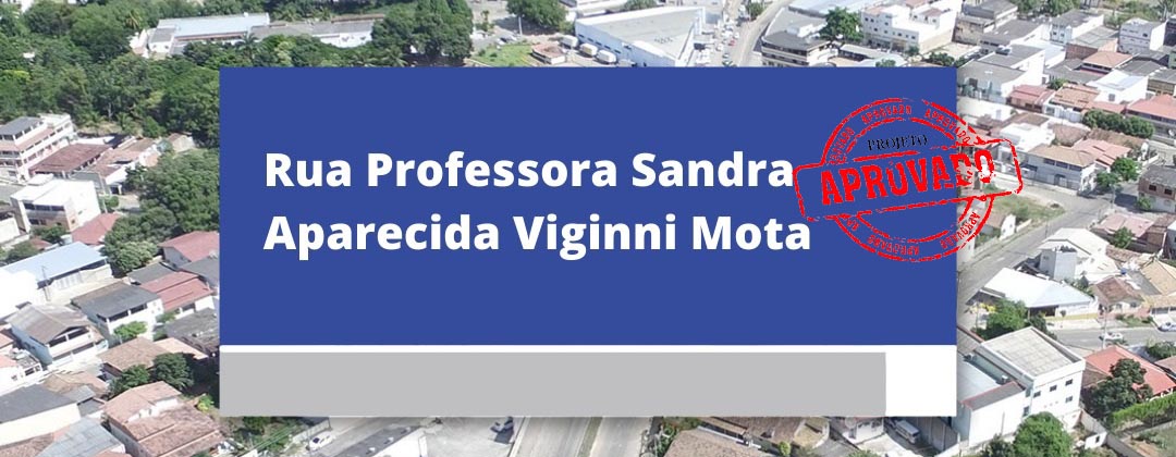 Vocês conheceram a professora Sandra Aparecida Viginni Mota, ou melhor, a tia Sandra?