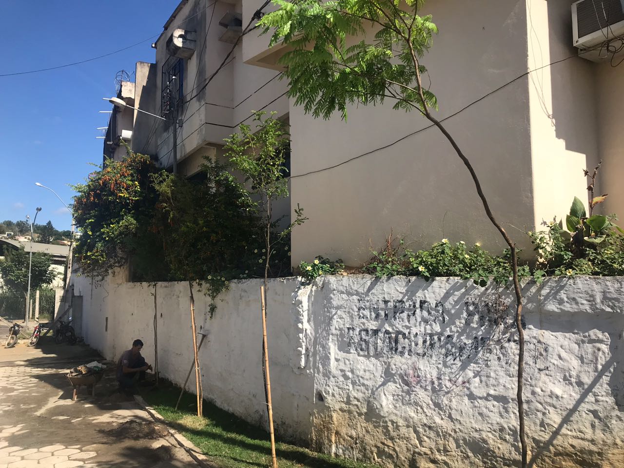 Praça da Câmara recebe plantios de mudas da Mata Atlântica