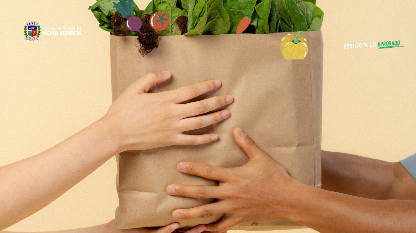 Câmara de Nova Venécia aprova projeto que adéqua Programa Vale-Feira